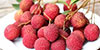 Manufacturers & Suppliers of Litchi Crushes