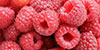 Manufacturers & Suppliers of Raspberry Fruit Fillings