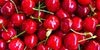 Manufacturers & Suppliers of Red Cherry Fruit Fillings